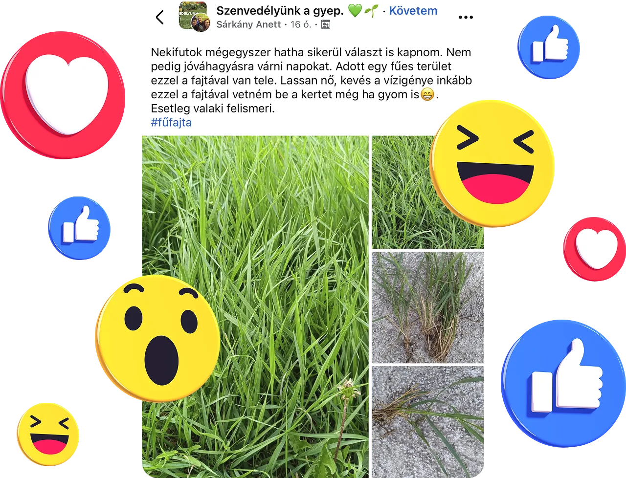 Szenvedélyünk a gyep Facebook csoport