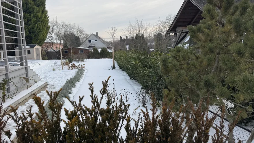 Téli gyepápolás: hogyan készítsd fel a gyepet, és mire figyelj a hideg hónapokban?